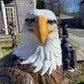 X-Large Eagle Wings Down