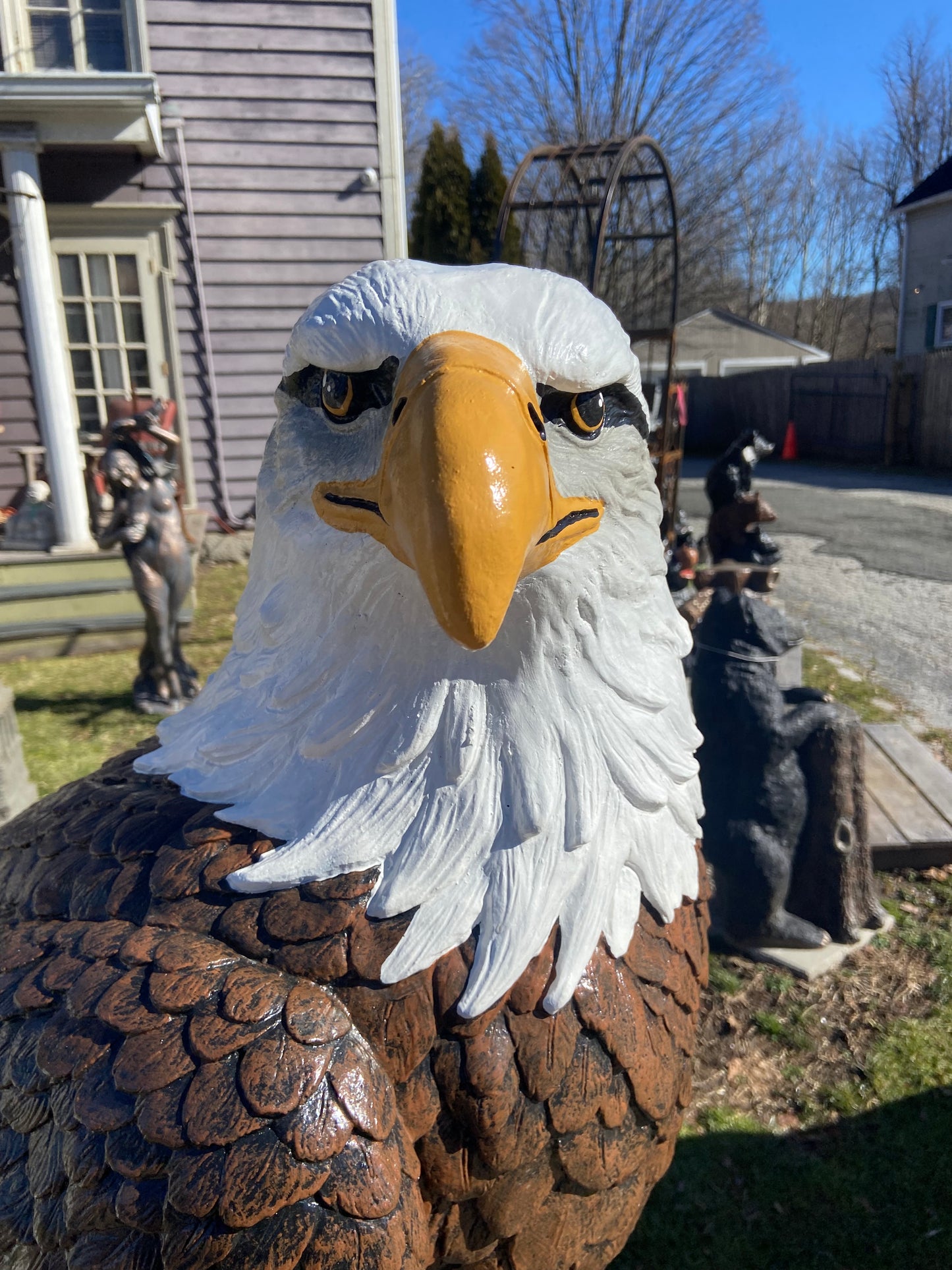 X-Large Eagle Wings Down