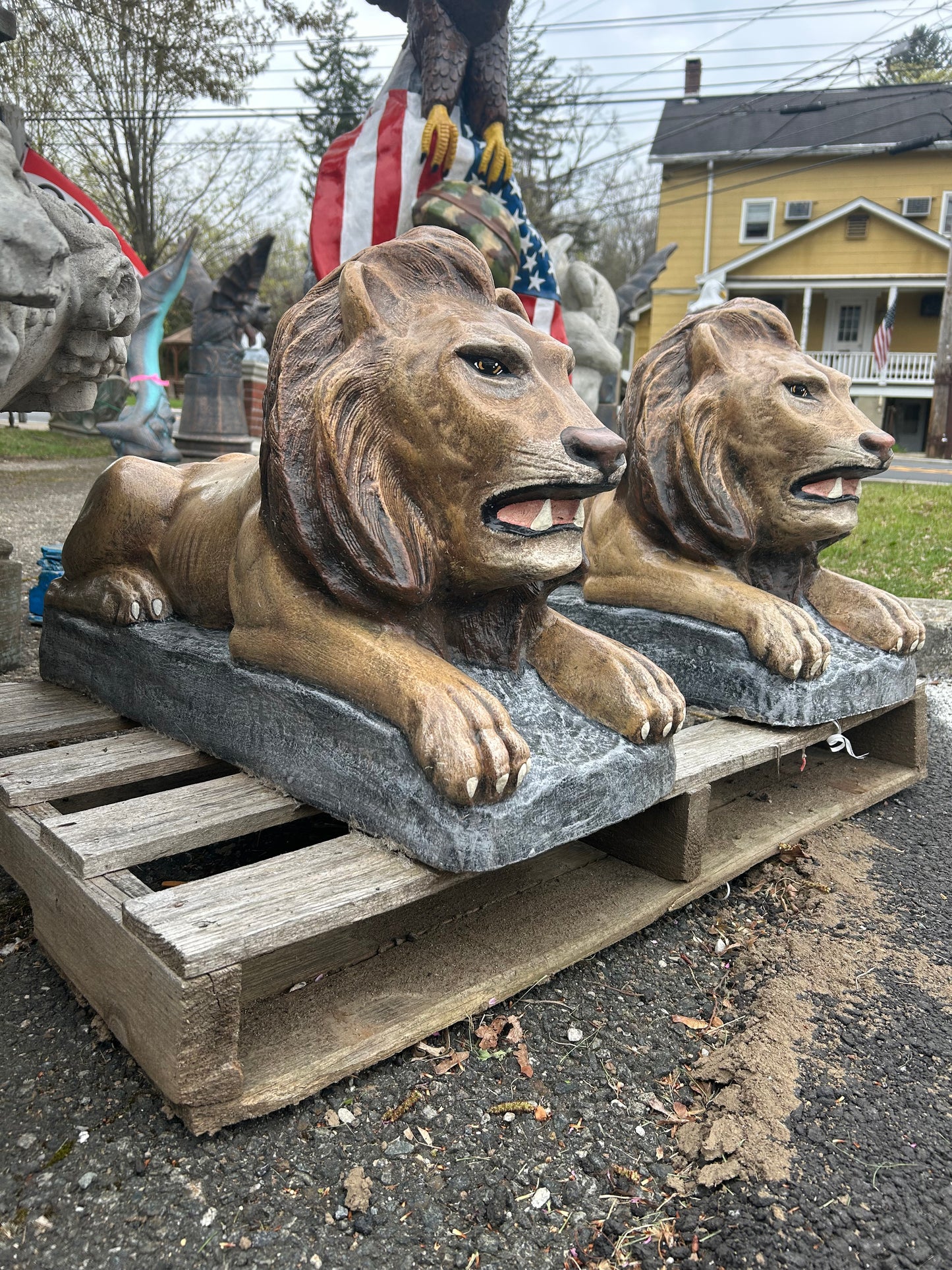 Large Laying Lions