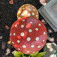 Double Mushroom Family