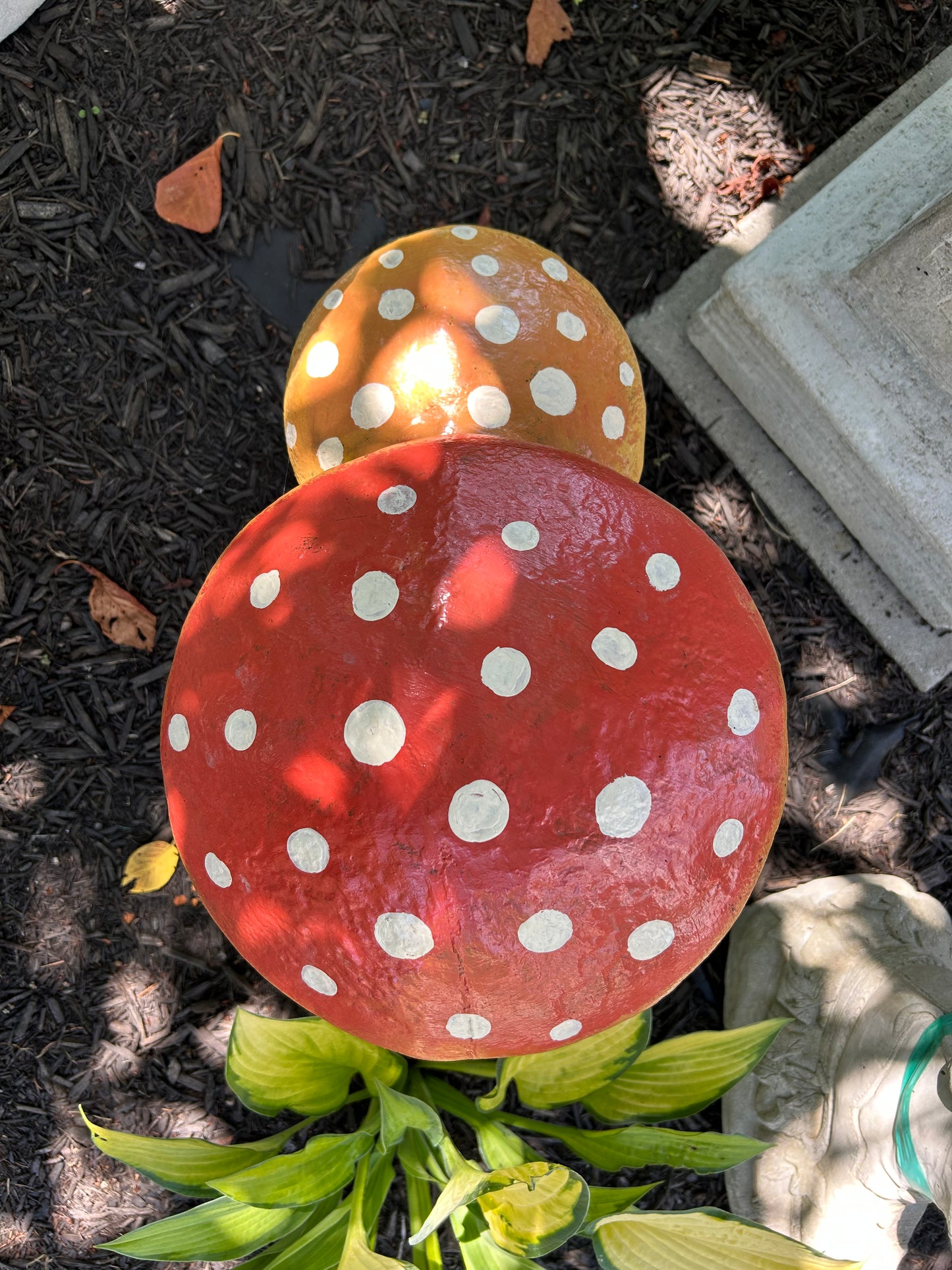 Double Mushroom Family