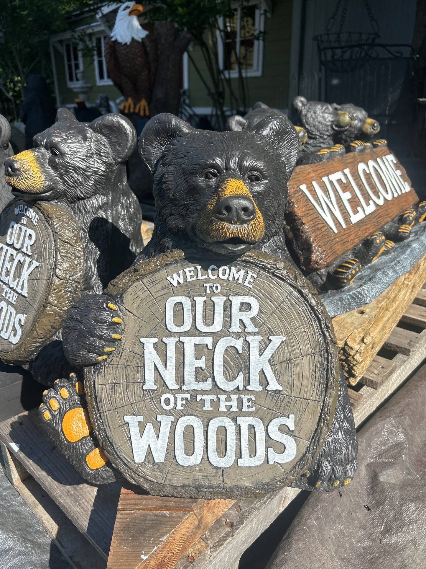 Our Neck of the Woods