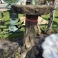 Log Birdbath