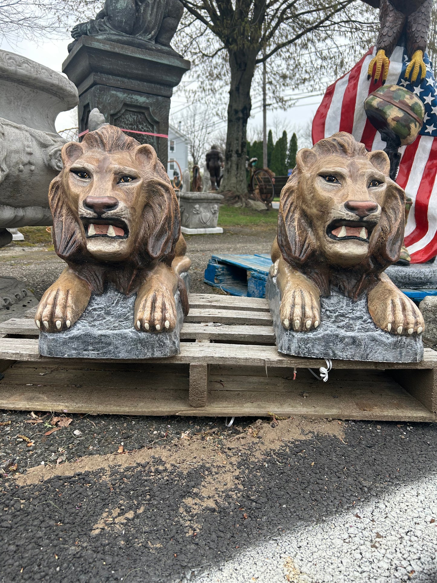 Large Laying Lions