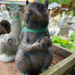 Giant Squirrel