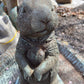 Prairie Dog