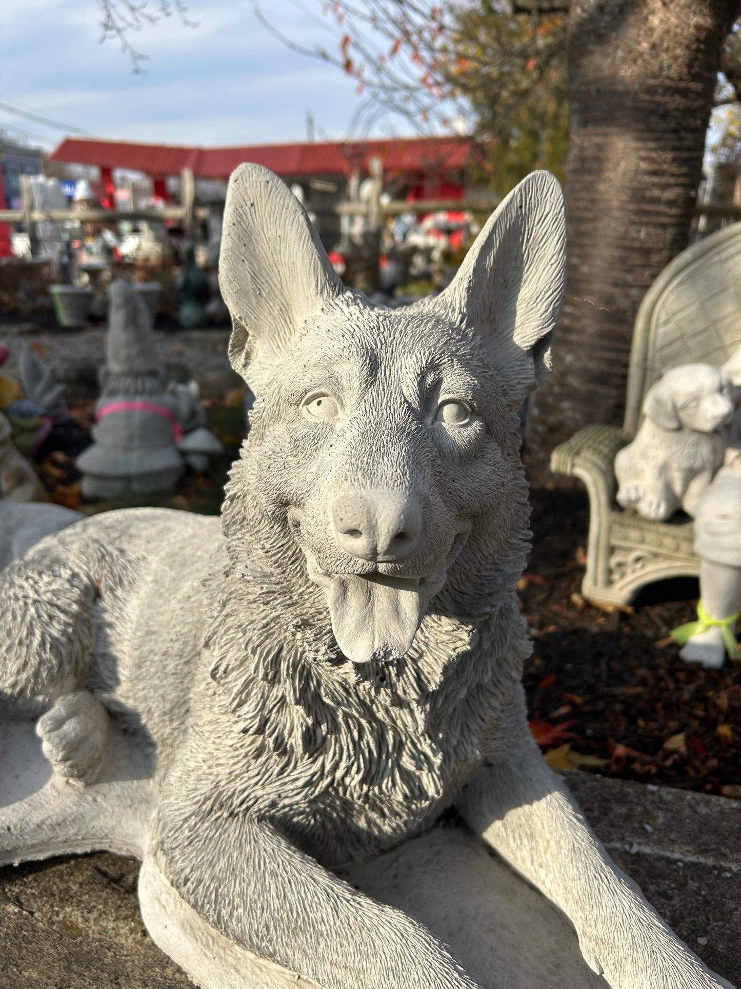 Large Laying German Shepard