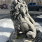 Estate Lion