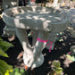 Birch Tree Birdbath