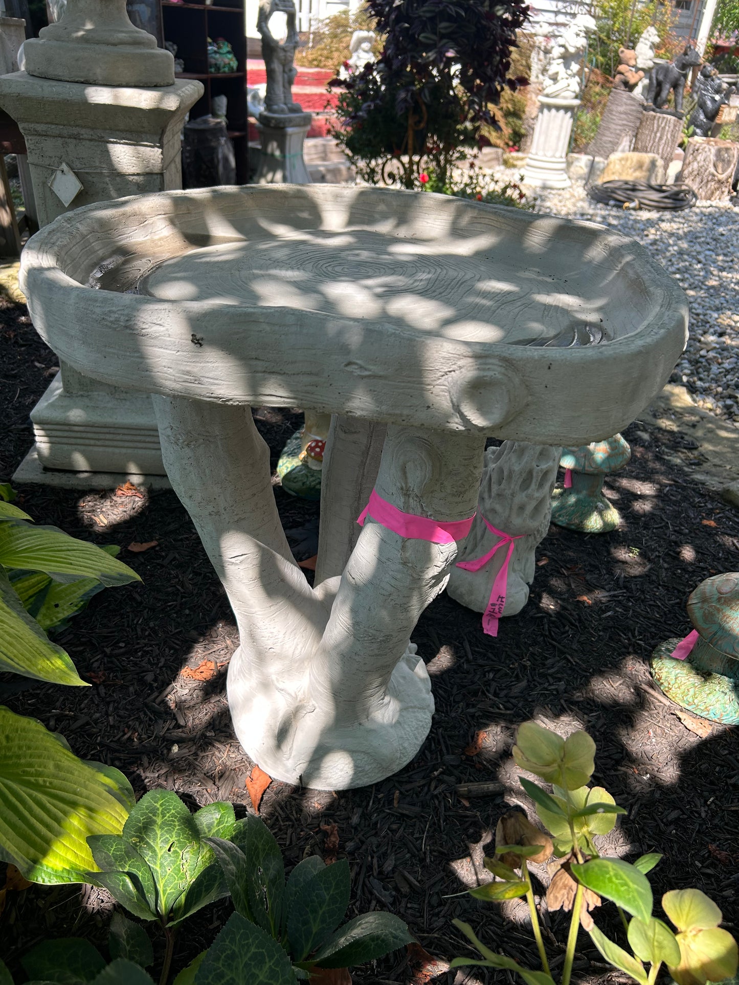 Birch Tree Birdbath