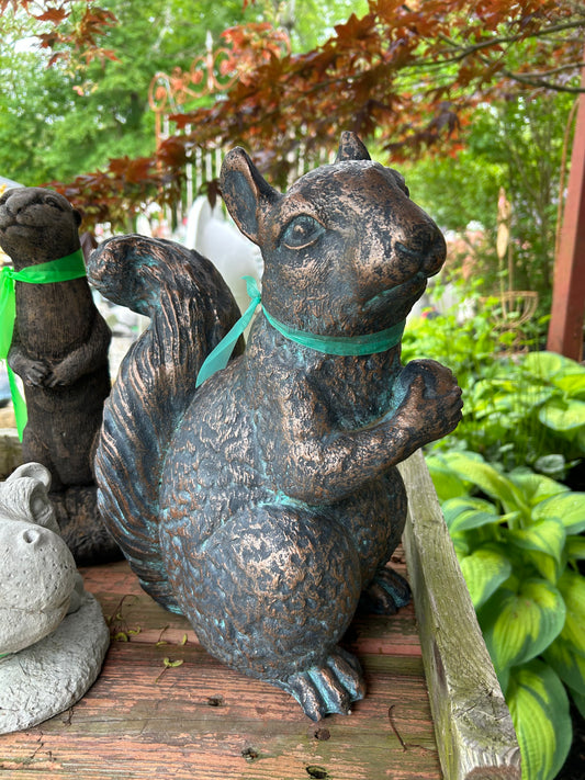Giant Squirrel