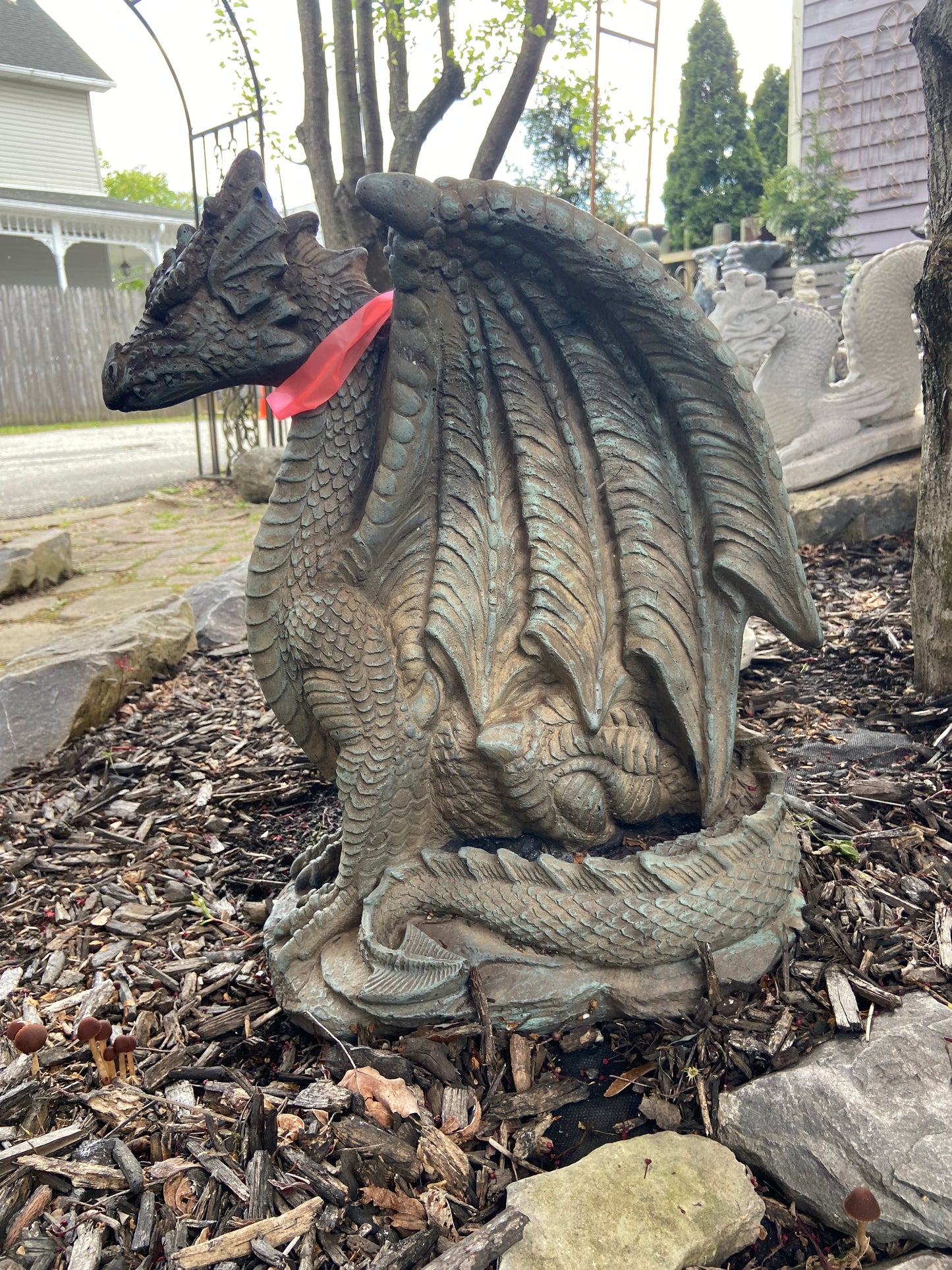 Sitting Dragon