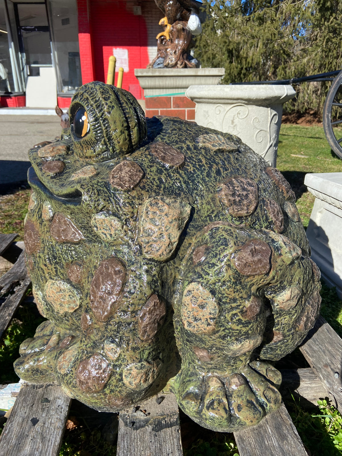 Extra Large Spotted Toad – Ziegler's Statuary
