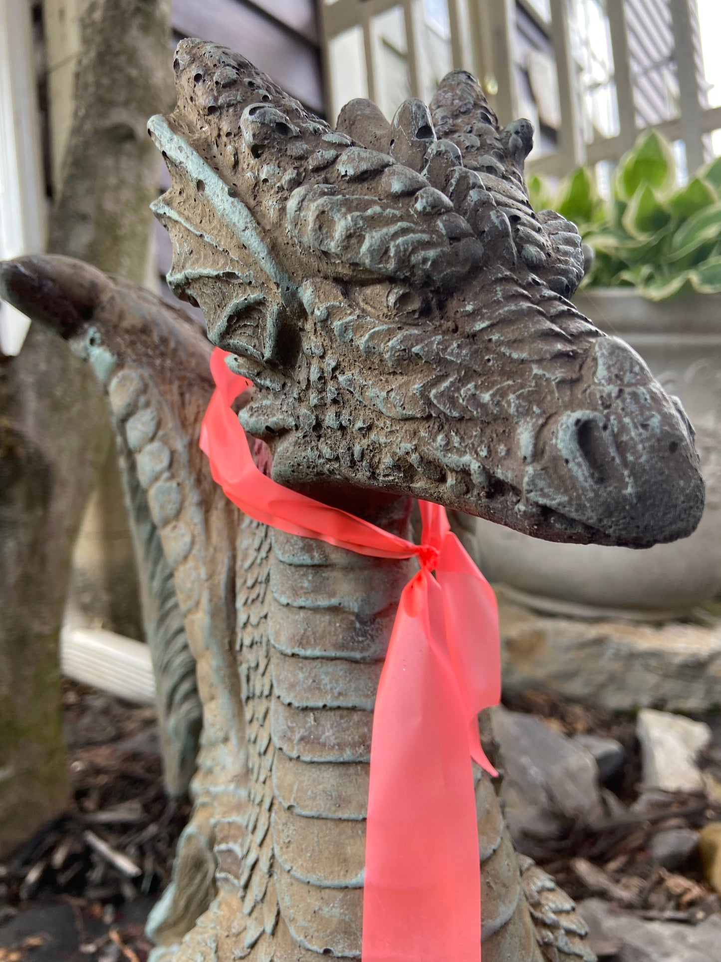 Sitting Dragon