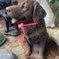 Sitting Retriever