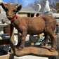 Standing Goat