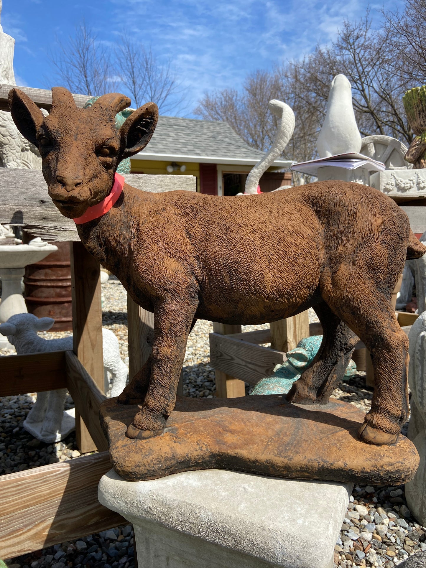Standing Goat