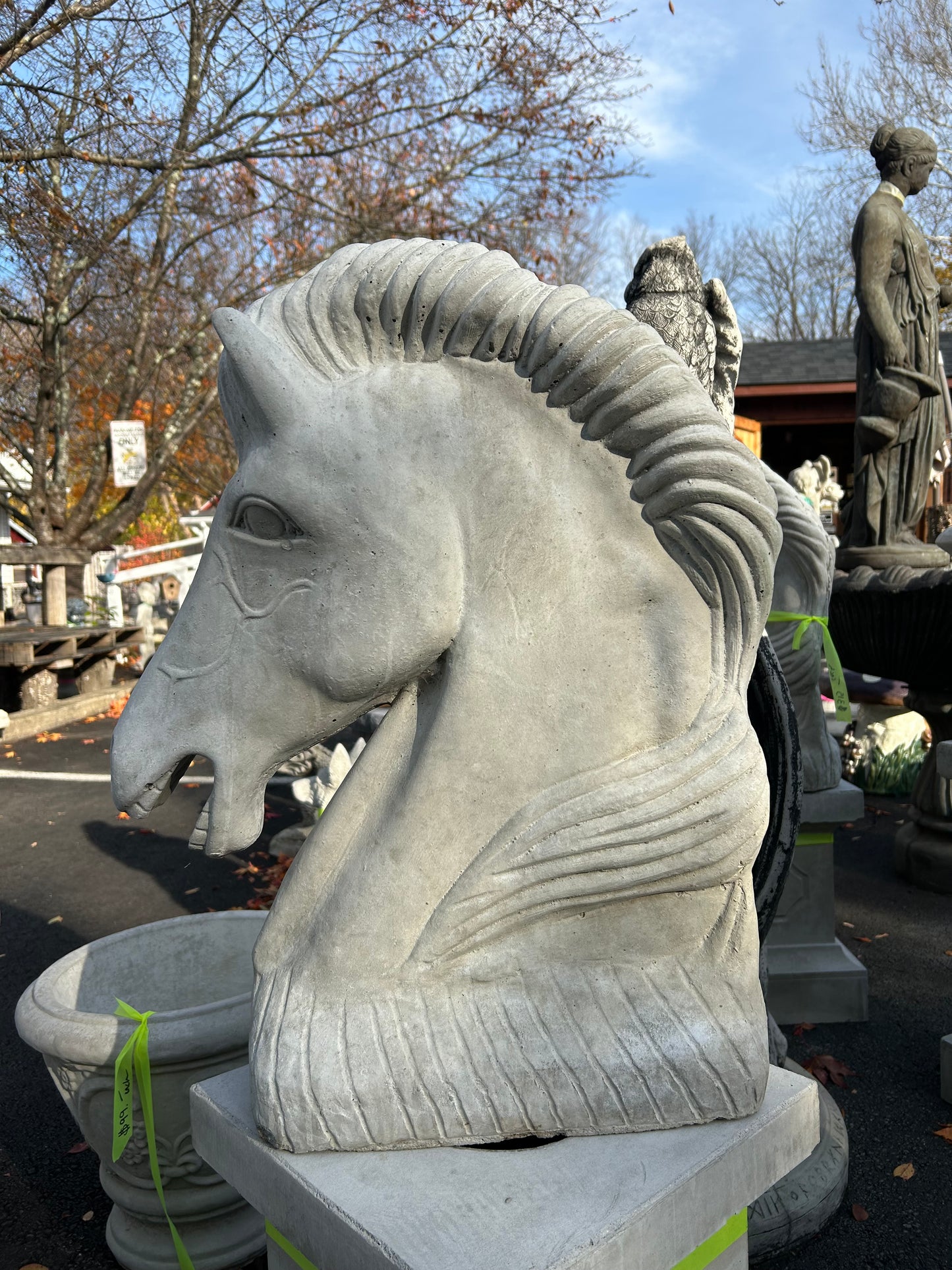 Horse Head 24” Tall