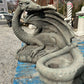 Hidden Treasure Dragon