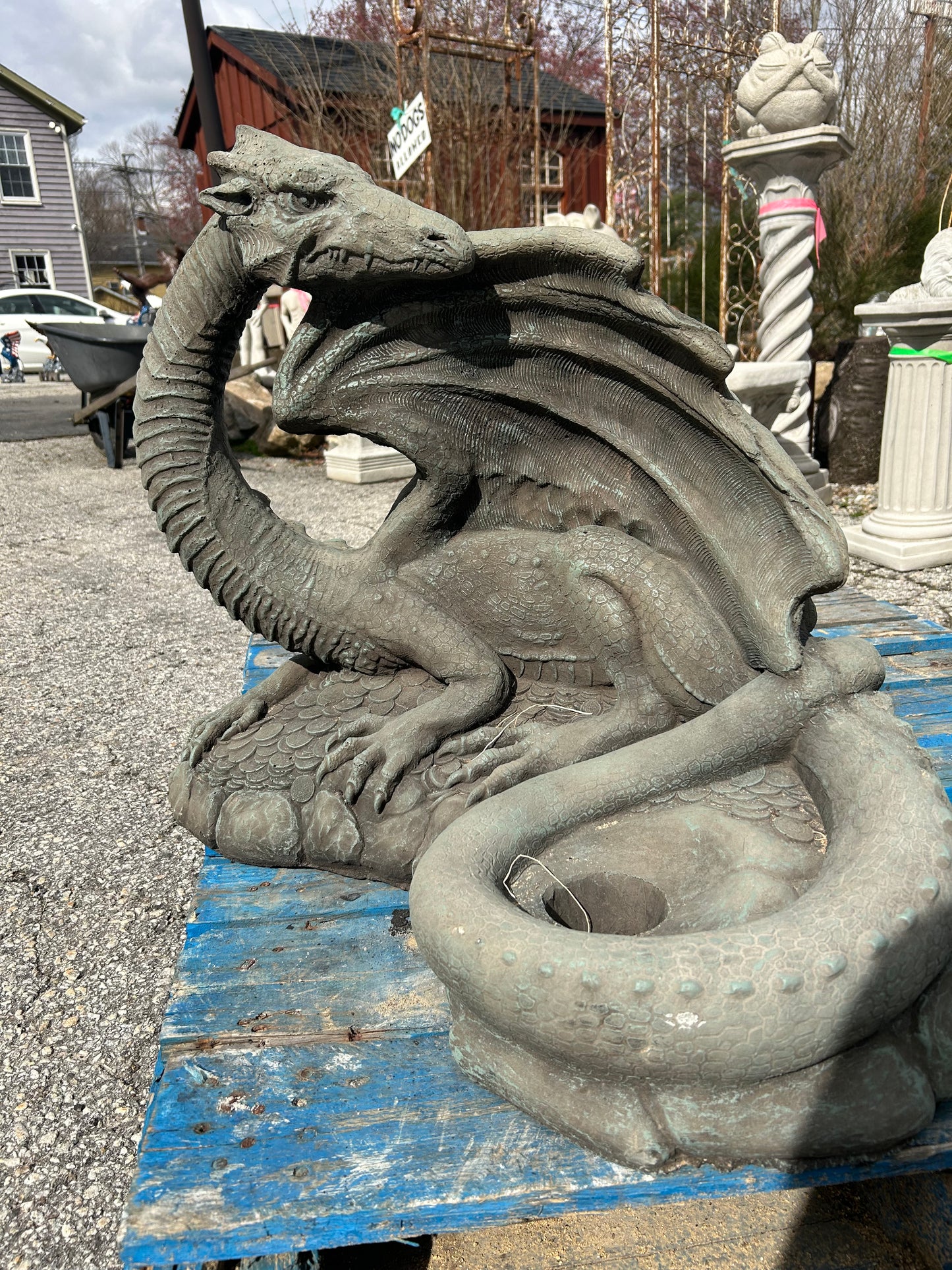 Hidden Treasure Dragon
