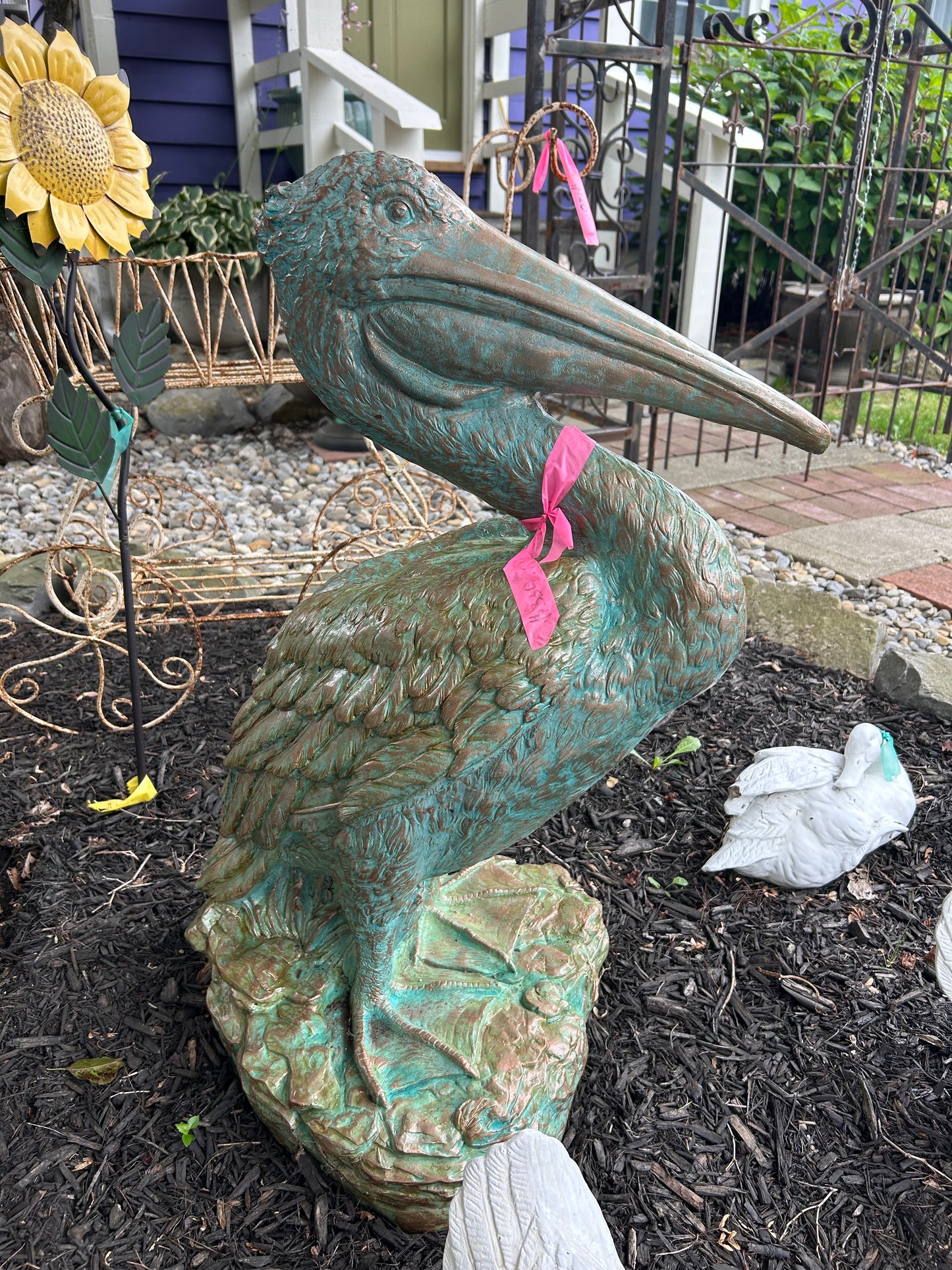 Gus (pelican)
