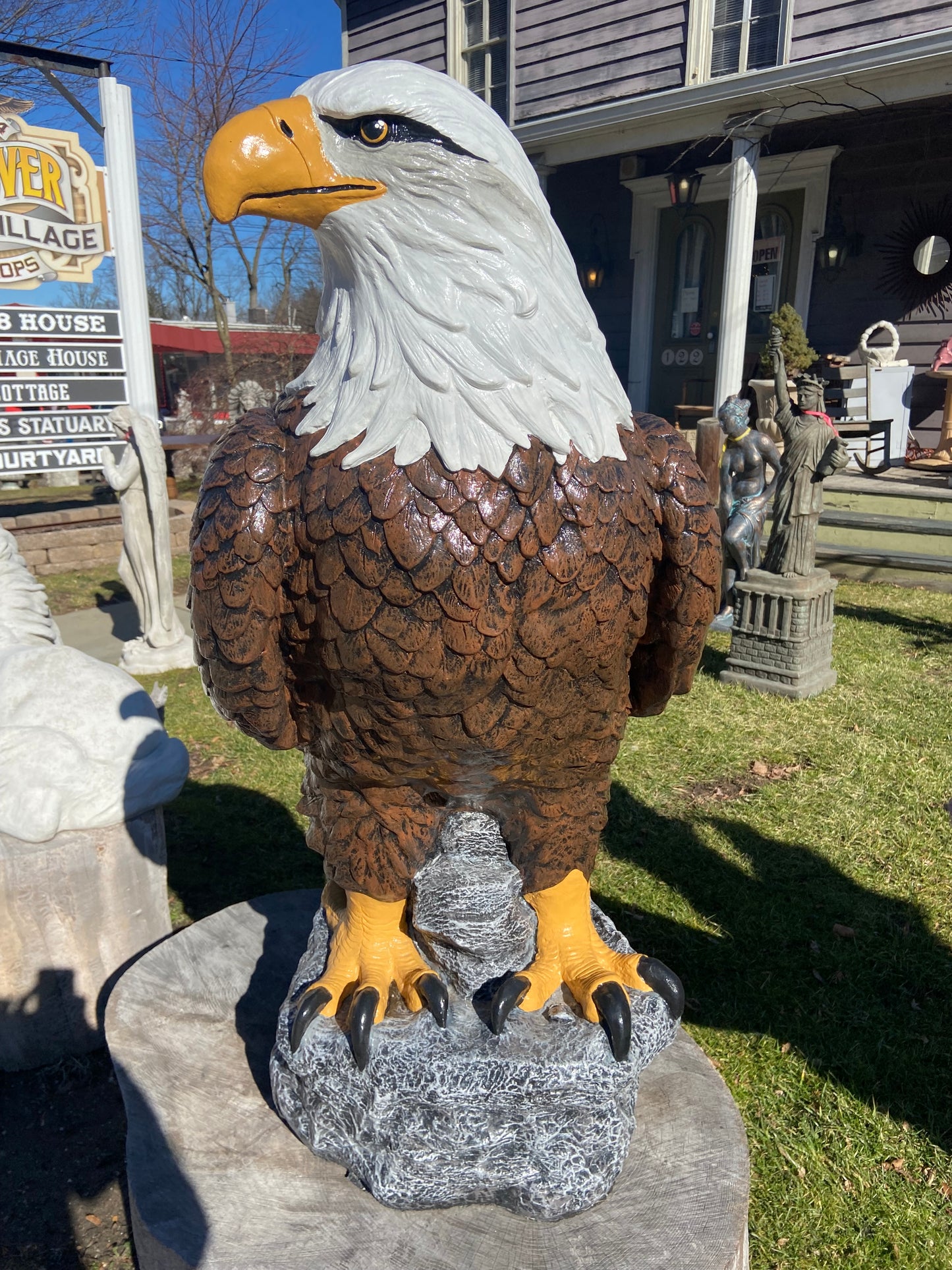 X-Large Eagle Wings Down