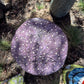 Medium Mushroom