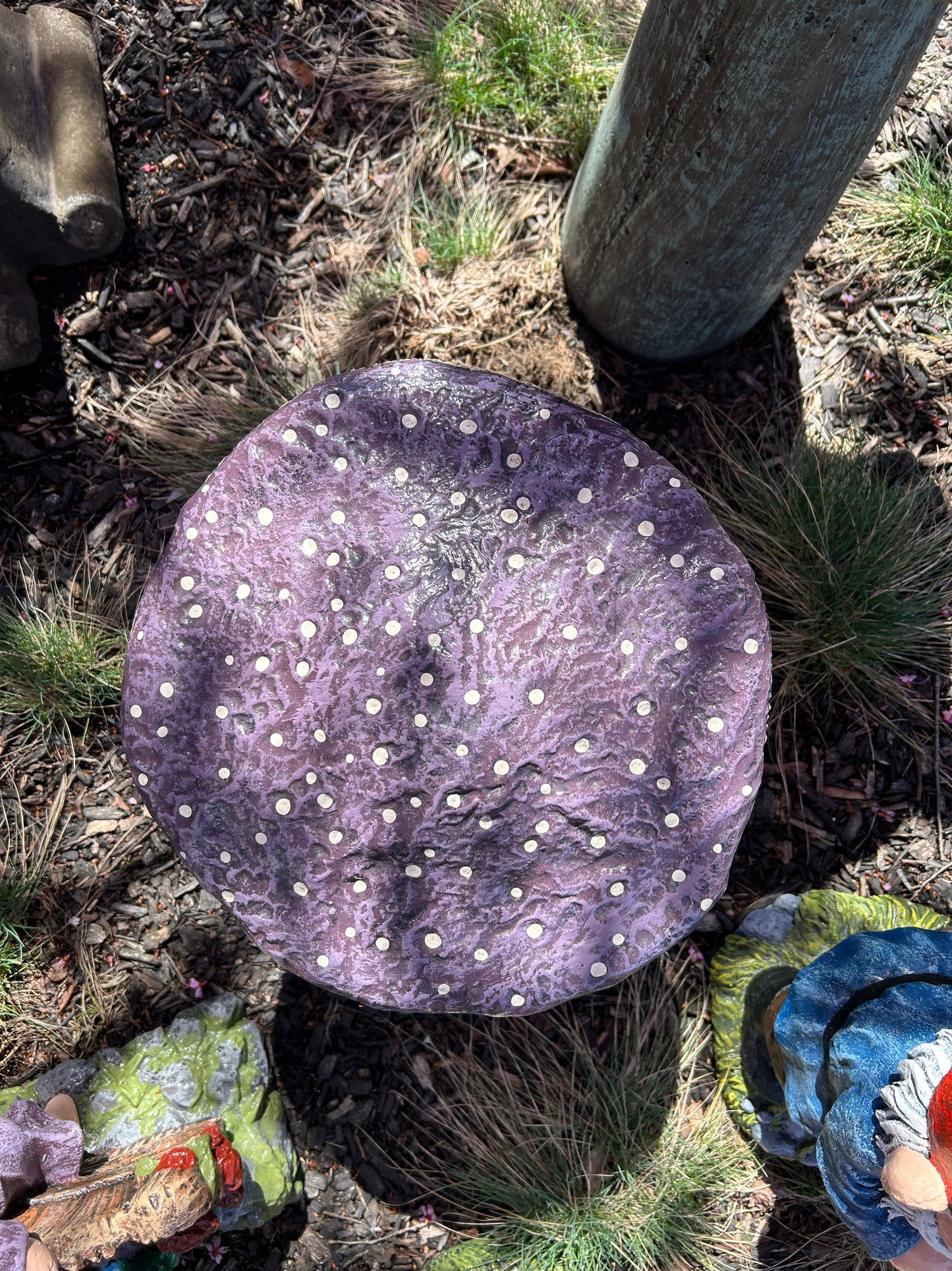 Medium Mushroom
