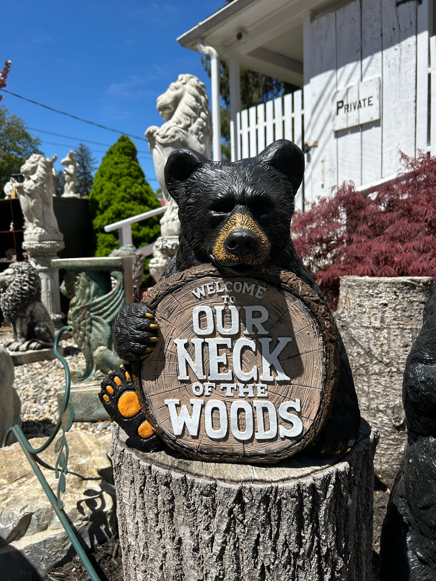 Our Neck of the Woods
