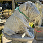 Large Sitting Bulldog