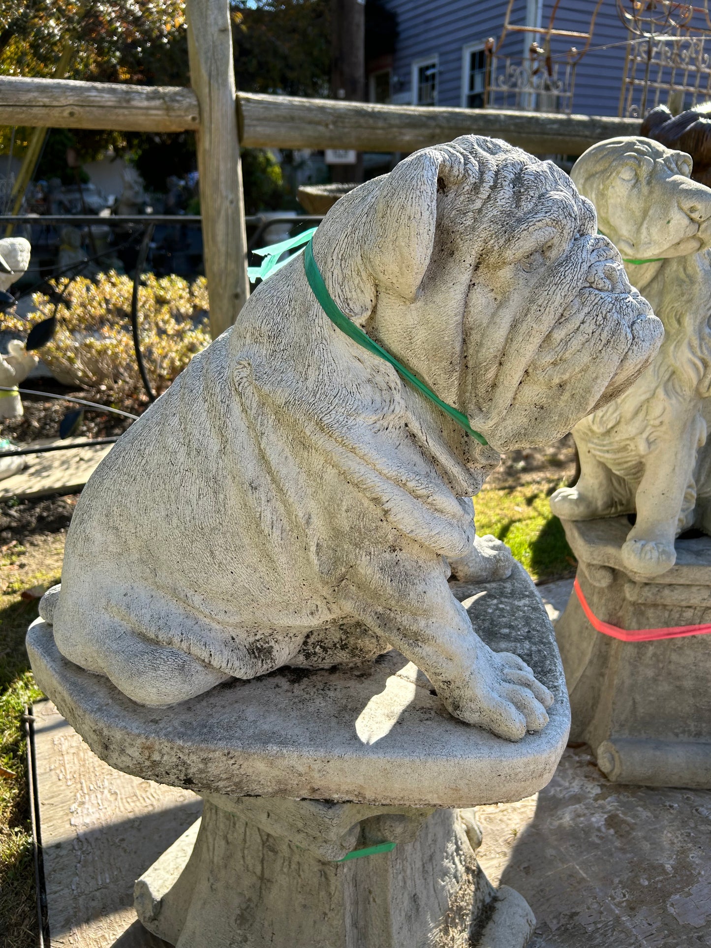 Large Sitting Bulldog