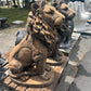 Estate Lion