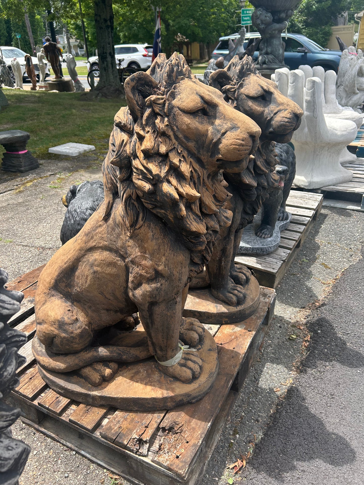 Estate Lion