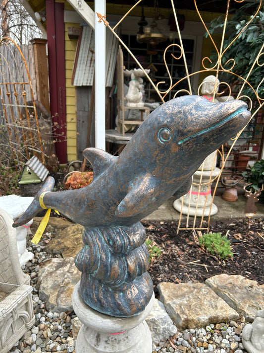 Swimming Dolphin