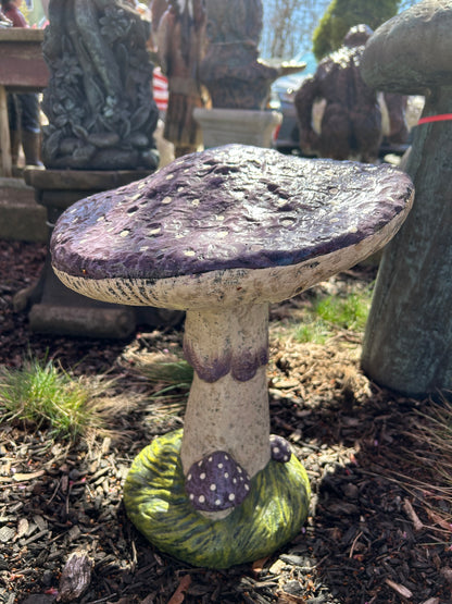 Medium Mushroom