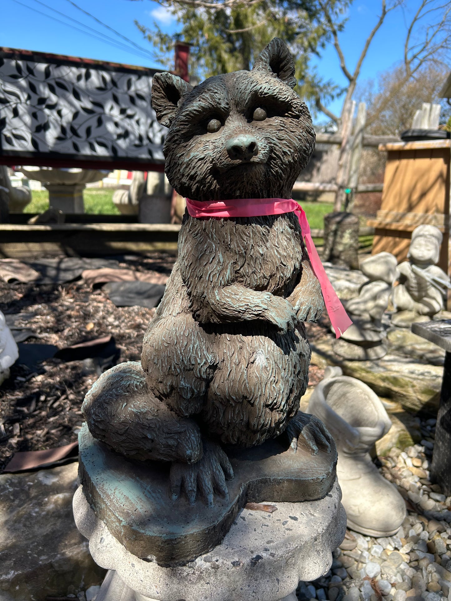 Raccoon Standing