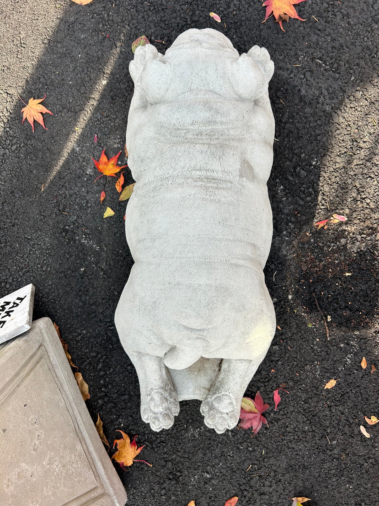 Layla- Laying Bulldog Statue