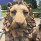 Estate Lion