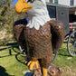 Large Eagle on Stump