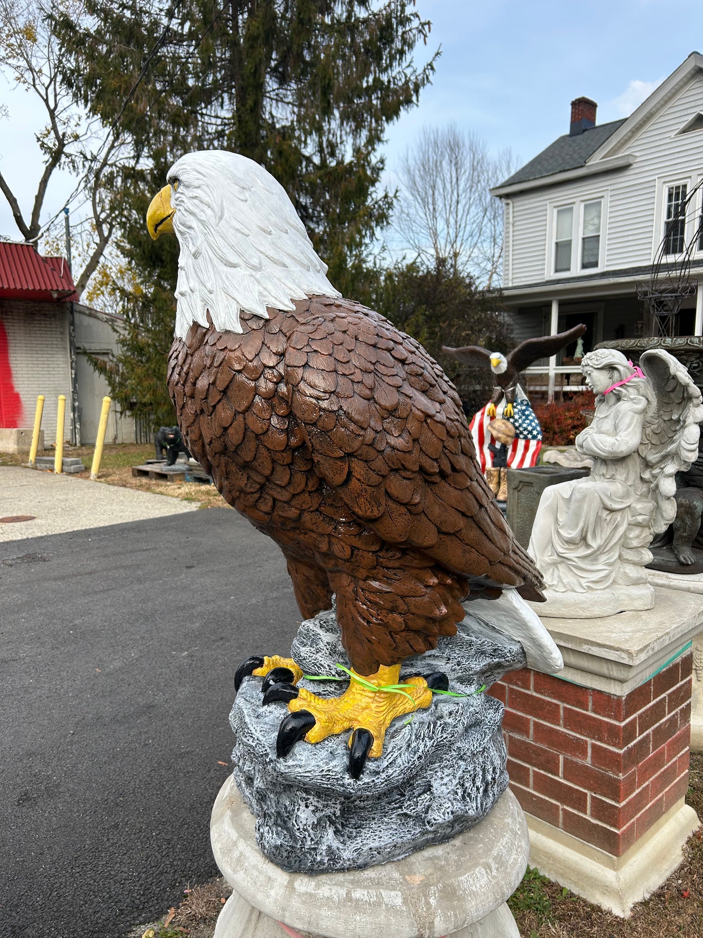 X-Large Eagle Wings Down