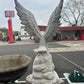 Large Eagle on Rock