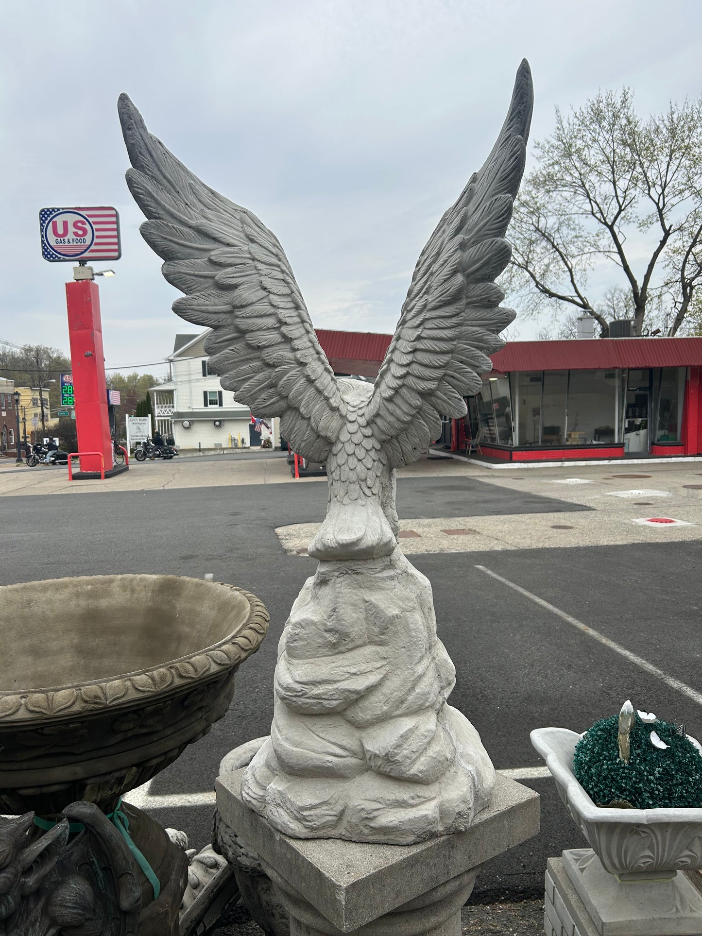 Large Eagle on Rock