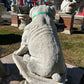 Large Sitting Bulldog
