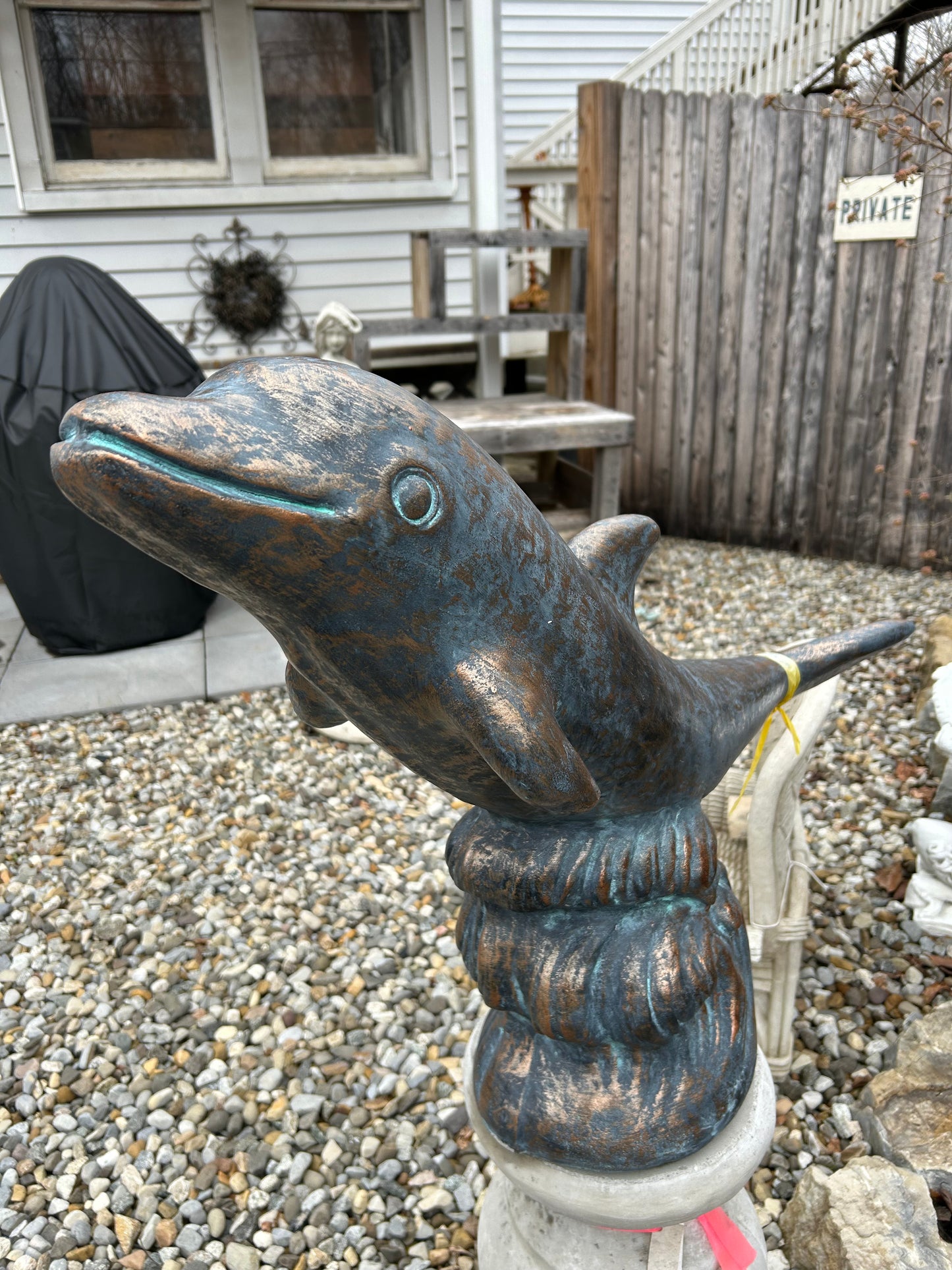 Swimming Dolphin