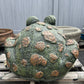 Extra Large Spotted Toad