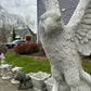 Large Eagle on Rock