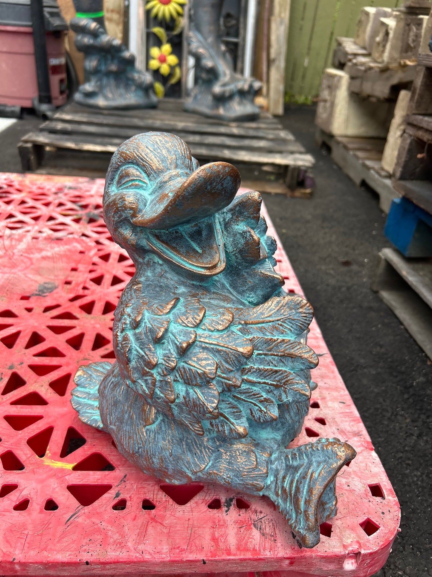 Laughing Duck Up