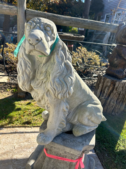 Large Sitting Cocker Spaniel