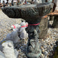 Squirrel Birdbath