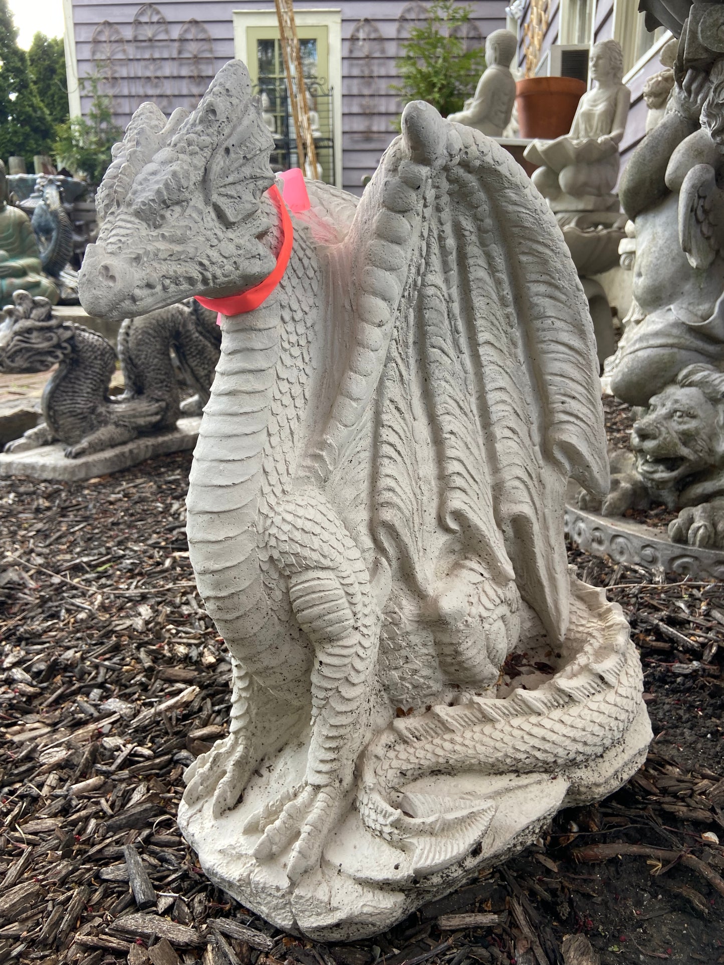 Sitting Dragon